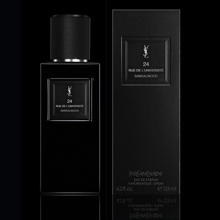 24 Rue de l'Université EDP - YSL