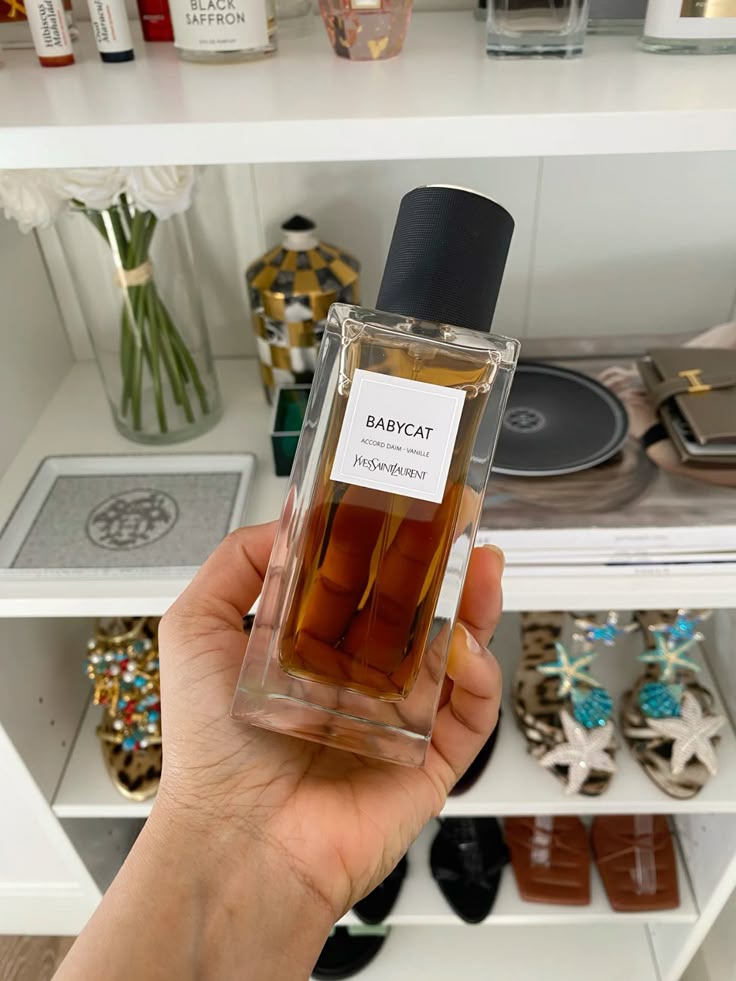 Babycat - YSL